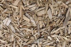 biomass boilers Feniton